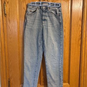 Garage Light Blue Mom Jeans